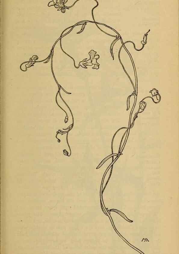 Reproducción/Reproduction 32977838778: Field book of western wild flowers /. New York :Putnam,1915.. 