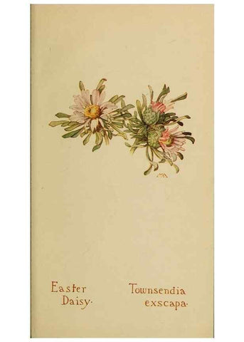 Reproducción/Reproduction 45938609135: Field book of western wild flowers /. New York :Putnam,1915.. 
