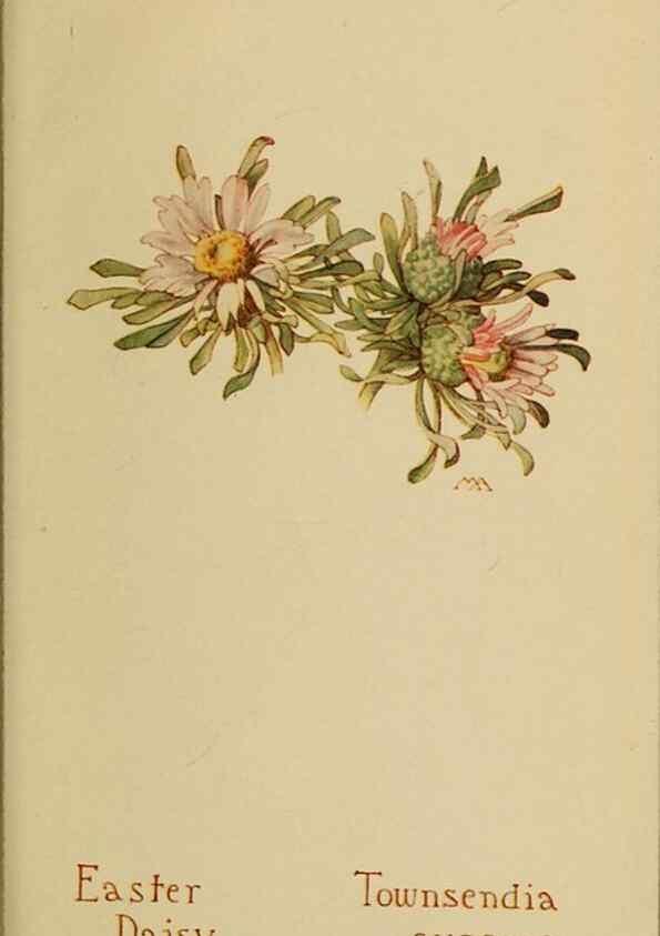Reproducción/Reproduction 45938609135: Field book of western wild flowers /. New York :Putnam,1915.. 