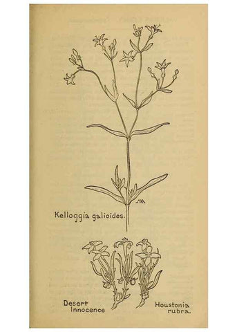 Reproducción/Reproduction 46853194791: Field book of western wild flowers /. New York :Putnam,1915.. 