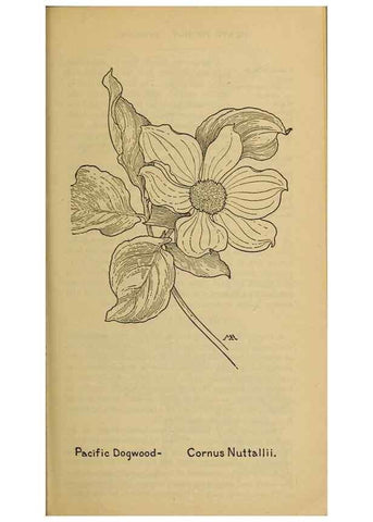 Reproducción/Reproduction 39888054163: Field book of western wild flowers /. New York :Putnam,1915.. 