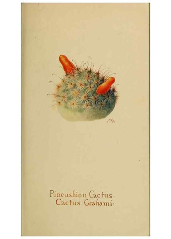 Reproducción/Reproduction 31911645827: Field book of western wild flowers /. New York :Putnam,1915.. 