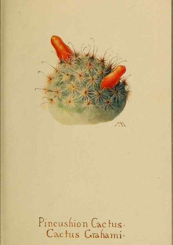 Reproducción/Reproduction 31911645827: Field book of western wild flowers /. New York :Putnam,1915.. 