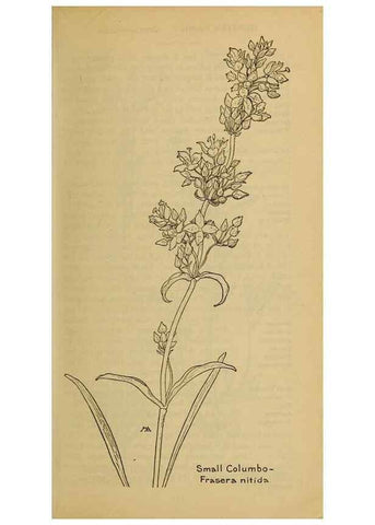 Reproducción/Reproduction 46801038422: Field book of western wild flowers /. New York :Putnam,1915.. 