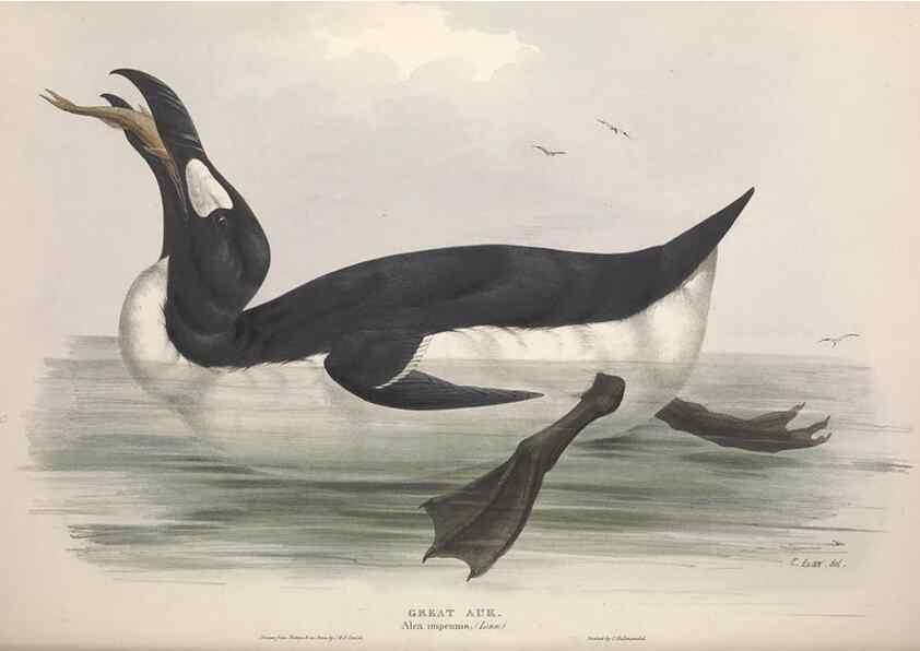 Reproducción/Reproduction 39813946213: The birds of Europe.. London,Printed by R. and J.E. Taylor, pub. by the author,1837.. 