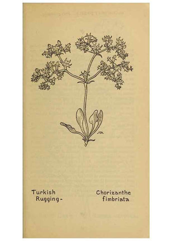Reproducción/Reproduction 46852781231: Field book of western wild flowers /. New York :Putnam,1915.. 