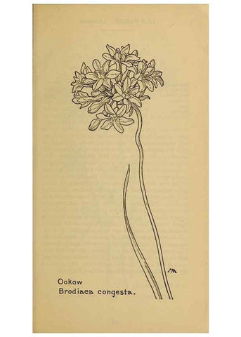 Reproducción/Reproduction 32977374418: Field book of western wild flowers /. New York :Putnam,1915.. 