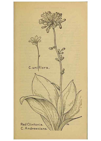 Reproducción/Reproduction 31911466977: Field book of western wild flowers /. New York :Putnam,1915.. 