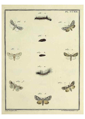 Reproducción/Reproduction 31922105537: Papillons d'Europe, peints d'après nature /. A Paris :Chez P.M. Delaguette, imprimeur-libraire ... ;1779-1792 [i.e. 1793]. 