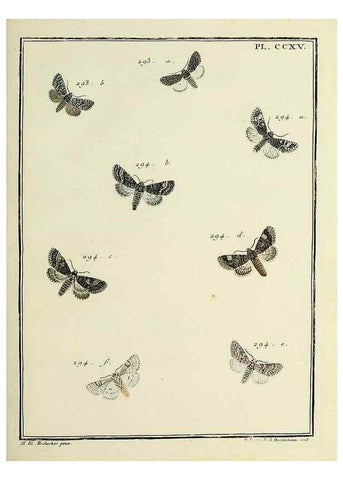 Reproducción/Reproduction 46863408171: Papillons d'Europe, peints d'après nature /. A Paris :Chez P.M. Delaguette, imprimeur-libraire ... ;1779-1792 [i.e. 1793]. 