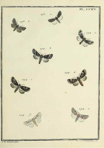 Reproducción/Reproduction 46863408171: Papillons d'Europe, peints d'après nature /. A Paris :Chez P.M. Delaguette, imprimeur-libraire ... ;1779-1792 [i.e. 1793]. 
