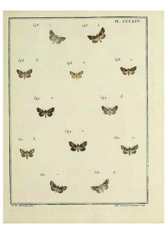 Reproducción/Reproduction 31922180337: Papillons d'Europe, peints d'après nature /. A Paris :Chez P.M. Delaguette, imprimeur-libraire ... ;1779-1792 [i.e. 1793]. 