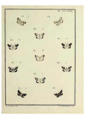 Reproducción/Reproduction 31922182577: Papillons d'Europe, peints d'après nature /. A Paris :Chez P.M. Delaguette, imprimeur-libraire ... ;1779-1792 [i.e. 1793]. 