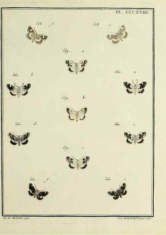 Reproducción/Reproduction 31922182577: Papillons d'Europe, peints d'après nature /. A Paris :Chez P.M. Delaguette, imprimeur-libraire ... ;1779-1792 [i.e. 1793]. 