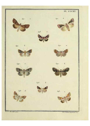 Reproducción/Reproduction 46138584814: Papillons d'Europe, peints d'après nature /. A Paris :Chez P.M. Delaguette, imprimeur-libraire ... ;1779-1792 [i.e. 1793]. 
