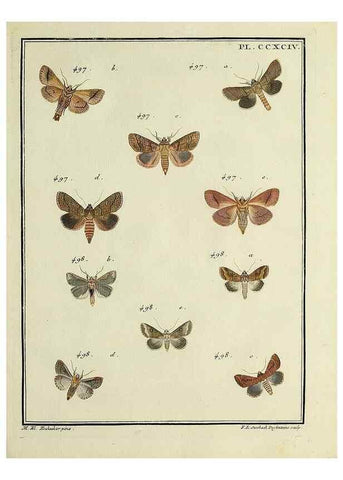 Reproducción/Reproduction 31922165027: Papillons d'Europe, peints d'après nature /. A Paris :Chez P.M. Delaguette, imprimeur-libraire ... ;1779-1792 [i.e. 1793]. 