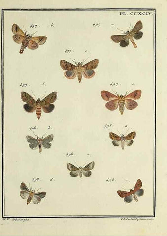Reproducción/Reproduction 31922165027: Papillons d'Europe, peints d'après nature /. A Paris :Chez P.M. Delaguette, imprimeur-libraire ... ;1779-1792 [i.e. 1793]. 