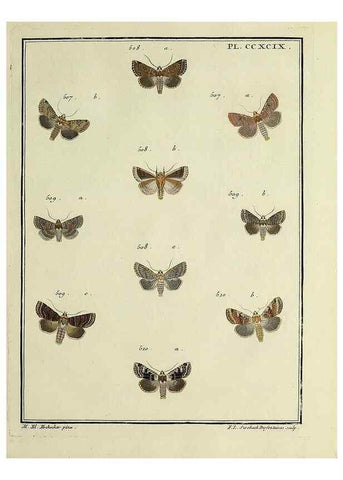 Reproducción/Reproduction 46863484701: Papillons d'Europe, peints d'après nature /. A Paris :Chez P.M. Delaguette, imprimeur-libraire ... ;1779-1792 [i.e. 1793]. 