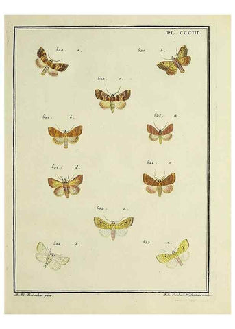 Reproducción/Reproduction 32988211068: Papillons d'Europe, peints d'après nature /. A Paris :Chez P.M. Delaguette, imprimeur-libraire ... ;1779-1792 [i.e. 1793]. 