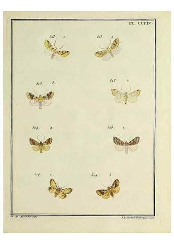 Reproducción/Reproduction 46811456922: Papillons d'Europe, peints d'après nature /. A Paris :Chez P.M. Delaguette, imprimeur-libraire ... ;1779-1792 [i.e. 1793]. 