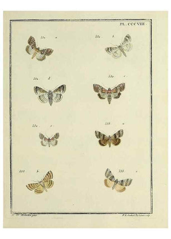 Reproducción/Reproduction 46811460502: Papillons d'Europe, peints d'après nature /. A Paris :Chez P.M. Delaguette, imprimeur-libraire ... ;1779-1792 [i.e. 1793]. 