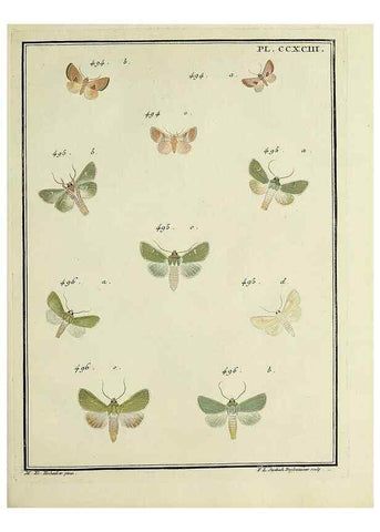 Reproducción/Reproduction 45949048895: Papillons d'Europe, peints d'après nature /. A Paris :Chez P.M. Delaguette, imprimeur-libraire ... ;1779-1792 [i.e. 1793]. 