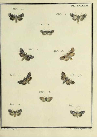 Reproducción/Reproduction 45949013095: Papillons d'Europe, peints d'après nature /. A Paris :Chez P.M. Delaguette, imprimeur-libraire ... ;1779-1792 [i.e. 1793]. 