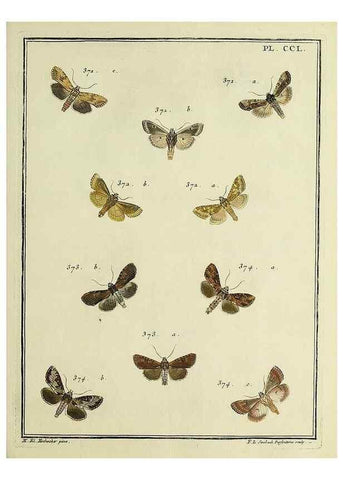 Reproducción/Reproduction 46811412642: Papillons d'Europe, peints d'après nature /. A Paris :Chez P.M. Delaguette, imprimeur-libraire ... ;1779-1792 [i.e. 1793]. 