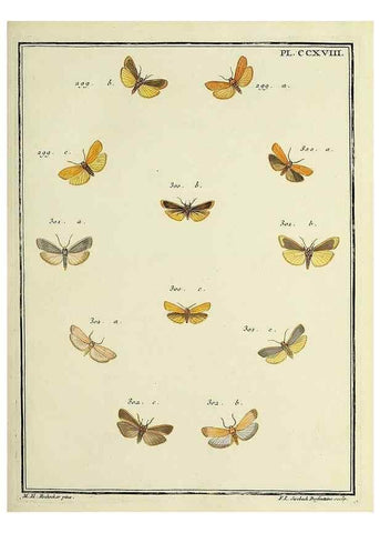 Reproducción/Reproduction 46138503674: Papillons d'Europe, peints d'après nature /. A Paris :Chez P.M. Delaguette, imprimeur-libraire ... ;1779-1792 [i.e. 1793]. 