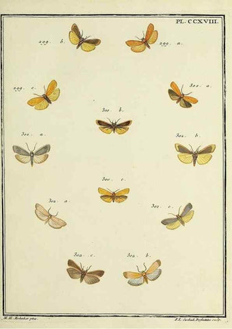 Reproducción/Reproduction 46138503674: Papillons d'Europe, peints d'après nature /. A Paris :Chez P.M. Delaguette, imprimeur-libraire ... ;1779-1792 [i.e. 1793]. 