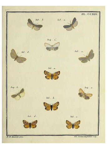 Reproducción/Reproduction 46138504474: Papillons d'Europe, peints d'après nature /. A Paris :Chez P.M. Delaguette, imprimeur-libraire ... ;1779-1792 [i.e. 1793]. 