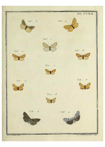 Reproducción/Reproduction 31922111767: Papillons d'Europe, peints d'après nature /. A Paris :Chez P.M. Delaguette, imprimeur-libraire ... ;1779-1792 [i.e. 1793]. 