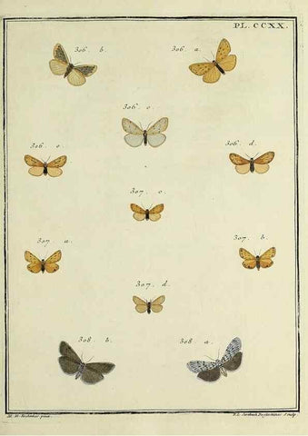 Reproducción/Reproduction 31922111767: Papillons d'Europe, peints d'après nature /. A Paris :Chez P.M. Delaguette, imprimeur-libraire ... ;1779-1792 [i.e. 1793]. 