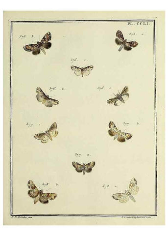 Reproducción/Reproduction 46138534124: Papillons d'Europe, peints d'après nature /. A Paris :Chez P.M. Delaguette, imprimeur-libraire ... ;1779-1792 [i.e. 1793]. 