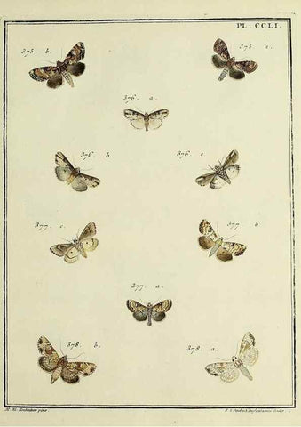 Reproducción/Reproduction 46138534124: Papillons d'Europe, peints d'après nature /. A Paris :Chez P.M. Delaguette, imprimeur-libraire ... ;1779-1792 [i.e. 1793]. 