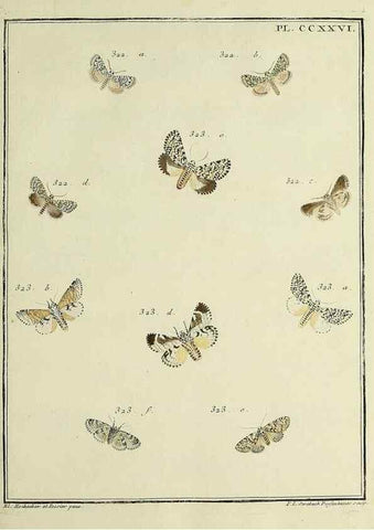 Reproducción/Reproduction 46138509244: Papillons d'Europe, peints d'après nature /. A Paris :Chez P.M. Delaguette, imprimeur-libraire ... ;1779-1792 [i.e. 1793]. 