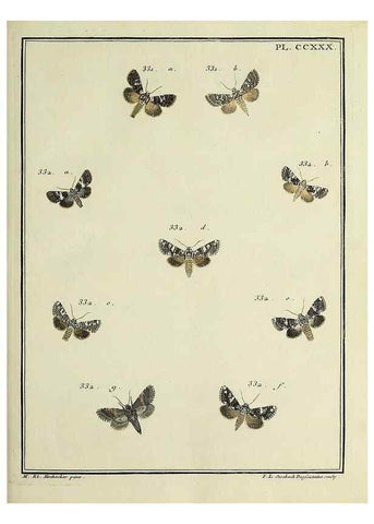 Reproducción/Reproduction 31922121957: Papillons d'Europe, peints d'après nature /. A Paris :Chez P.M. Delaguette, imprimeur-libraire ... ;1779-1792 [i.e. 1793]. 