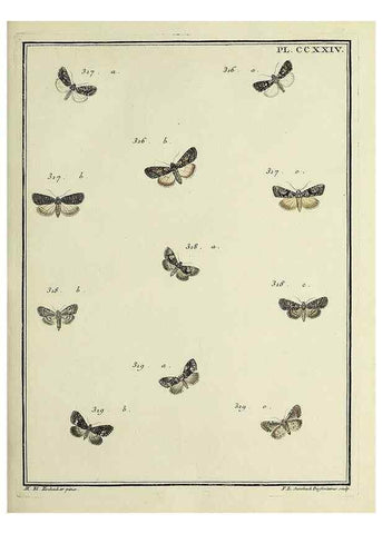 Reproducción/Reproduction 32988159728: Papillons d'Europe, peints d'après nature /. A Paris :Chez P.M. Delaguette, imprimeur-libraire ... ;1779-1792 [i.e. 1793]. 