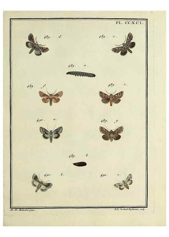 Reproducción/Reproduction 46138566244: Papillons d'Europe, peints d'après nature /. A Paris :Chez P.M. Delaguette, imprimeur-libraire ... ;1779-1792 [i.e. 1793]. 