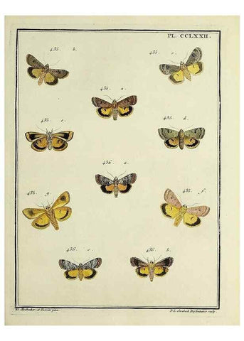 Reproducción/Reproduction 39898831103: Papillons d'Europe, peints d'après nature /. A Paris :Chez P.M. Delaguette, imprimeur-libraire ... ;1779-1792 [i.e. 1793]. 