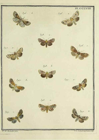 Reproducción/Reproduction 46811424842: Papillons d'Europe, peints d'après nature /. A Paris :Chez P.M. Delaguette, imprimeur-libraire ... ;1779-1792 [i.e. 1793]. 