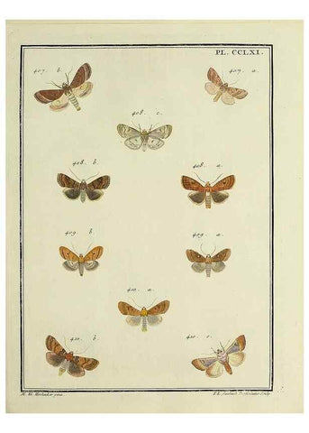 Reproducción/Reproduction 45949025575: Papillons d'Europe, peints d'après nature /. A Paris :Chez P.M. Delaguette, imprimeur-libraire ... ;1779-1792 [i.e. 1793]. 