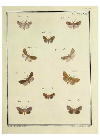 Reproducción/Reproduction 32988183458: Papillons d'Europe, peints d'après nature /. A Paris :Chez P.M. Delaguette, imprimeur-libraire ... ;1779-1792 [i.e. 1793]. 