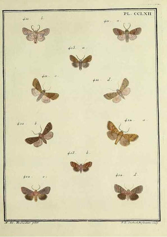 Reproducción/Reproduction 32988183458: Papillons d'Europe, peints d'après nature /. A Paris :Chez P.M. Delaguette, imprimeur-libraire ... ;1779-1792 [i.e. 1793]. 