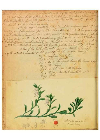 Reproducción/Reproduction 46853565102: Botanical description and medical, culinary & other uses of the plants in the first volume of my American herbarium /. . 