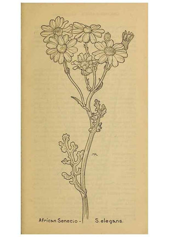 Reproducción/Reproduction 46904943831: Field book of western wild flowers /. New York :Putnam,1915.. 