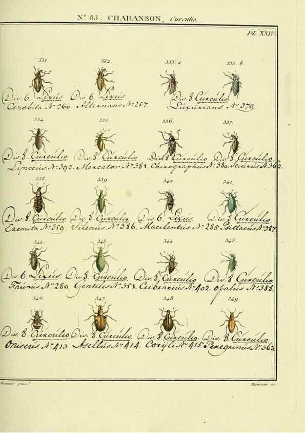 Reproducción/Reproduction 35864779235: Entomologie, ou, Histoire naturelle des insectes :. A Paris :De l'Imprimerie de Baudoin,1789-1808.