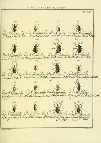 Reproducción/Reproduction 35824111876: Entomologie, ou, Histoire naturelle des insectes :. A Paris :De l'Imprimerie de Baudoin,1789-1808.