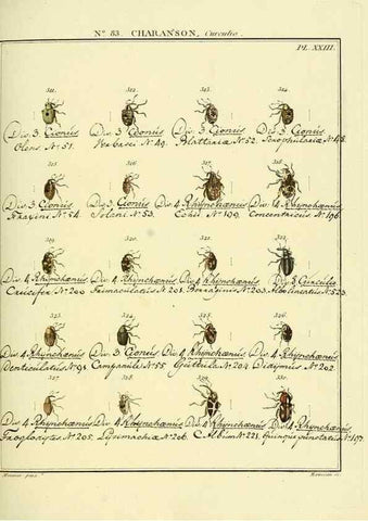 Reproducción/Reproduction 35055435633: Entomologie, ou, Histoire naturelle des insectes :. A Paris :De l'Imprimerie de Baudoin,1789-1808.