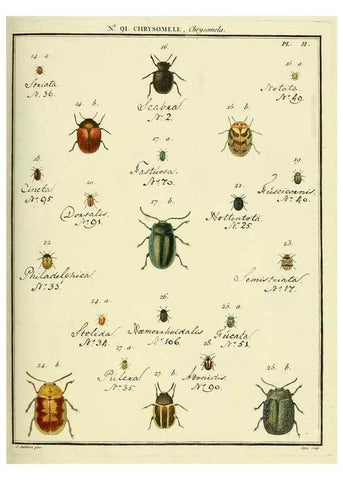 Reproducción/Reproduction 35824152206: Entomologie, ou, Histoire naturelle des insectes :. A Paris :De l'Imprimerie de Baudoin,1789-1808.